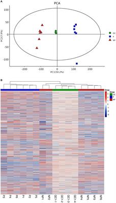 Metabolomics reveals early pregnancy biomarkers in sows: a non-invasive diagnostic approach